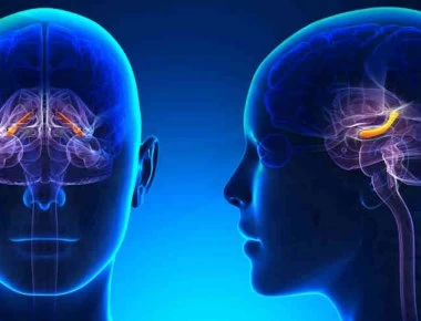 Πολλαπλή Σκλήρυνση: Δείκτης κινδύνου η έλλειψη πολύ γνωστής βιταμίνης – Φαίνεται με απλή εξέταση αίματος (βίντεο)